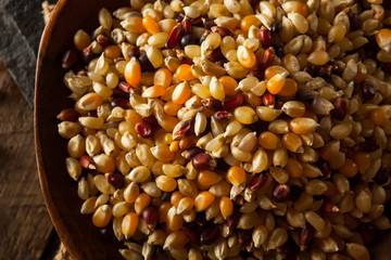 Raw Organic Multi Colored Calico Popcorn