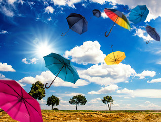 Lebensfreude: Fliegende, bunte Schirme über Pfälzer Herbstlandschaft :)