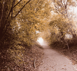 Depression, Traurigkeit, herbstliche Melancholie :)