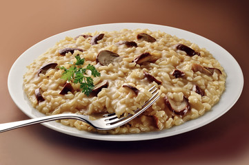 Dish of Mushroom Risotto with Fork