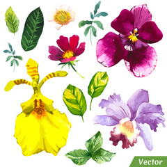Vector illustration with watercolor flowers. 