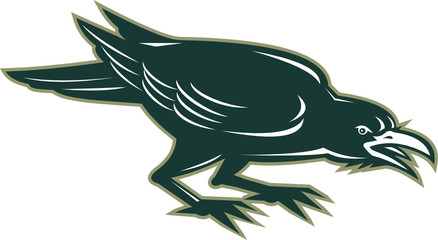 Angry Crow Side Isolated Retro