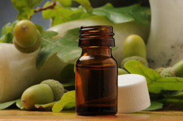 Quercus Oak Quercia Eichen 栎属 Carvalho オーク  Erboristeria سنديان Pflanzenheilkunde تداوي بالأعشاب Herbalismo Herbalism 草藥醫學 Дуб אלון Herboristerie 本草学 Chêne צמחי מרפא