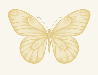 beautiful butterfly in pastel colors in graphic style