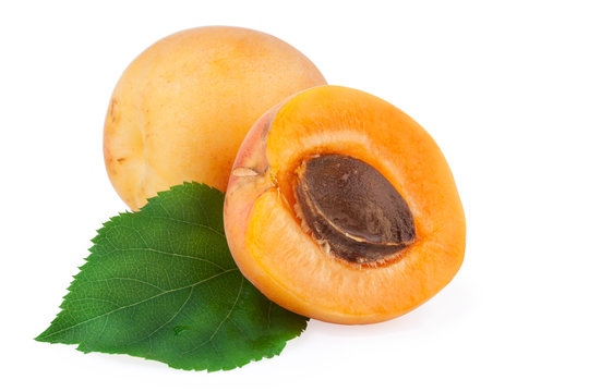 Apricots isolated with clipping path