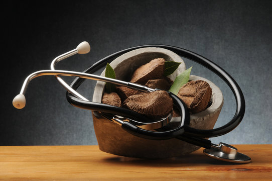 Bertholletia excelsa Brazil nut nuez de Brasil Nuez amaz&oacute;nica Casta&ntilde;a de monte Casta&ntilde;a de Par&aacute; Coquito brasile&ntilde;o Noce Paranussbaum del Brasile Noce Noyer d&rsquo;Amazonie ブラジルナッツ Orzesznica wyniosła 