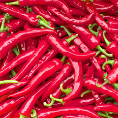 red chili peppers background square