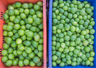 Fresh green lime