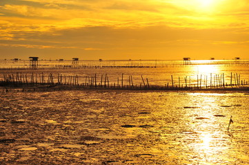 Obraz premium Seaside Landscape at Sunrise