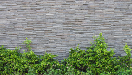Fototapeta na wymiar Grey stone wall with plants in the bottom