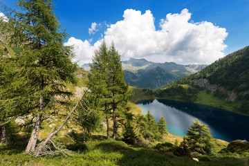 Fototapeta na wymiar Lago di Campo - Adamello Trento Italy / Lago di Campo (Campo lake) 1944 m. Small beautiful alpine lake in the National Park of Adamello Brenta, Trentino Alto Adige, Italy
