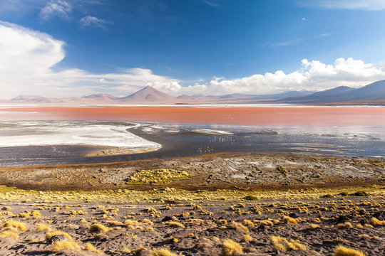 Laguna Colorada , Bolivia. Cielo blu con nuvole bianche, vulcano sullo sfondo