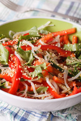 Fresh salad with bean sprouts, peppers and sesame seeds close up
