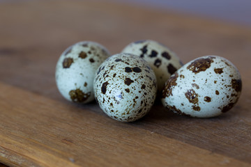 Obraz premium quail eggs