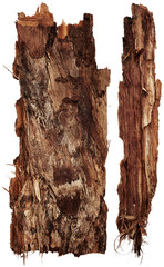 Bark tree