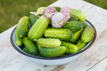 Cucumbers and garlic in metal bowl in garden on sunny day
