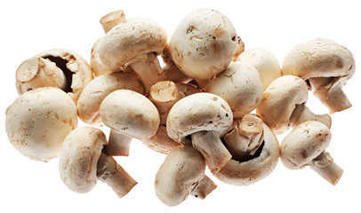 Mushrooms