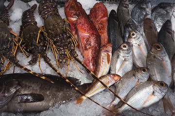 Pesce fresco di giornata