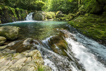 Fototapeta premium 黎明の滝と菊池渓谷の渓流