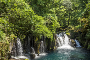 Fototapeta na wymiar 菊池渓谷の天狗滝と新緑の森