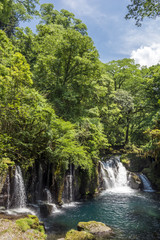 菊池渓谷の天狗滝と新緑の森