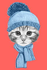 Portrait of Cat with scarf and hat. Hand drawn illustration.