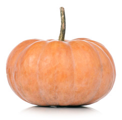 Round pumpkin
