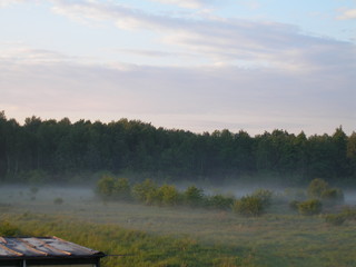 Mgła nad łąką w Nowym Chechle