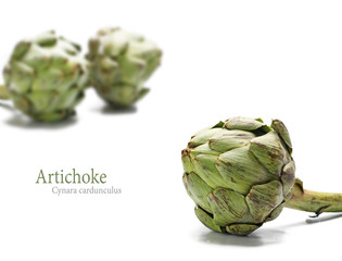 Obraz premium ripe artichokes isolated on white background