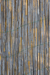 Old reed wall detailed texture