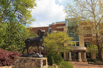 Ramses, The Bighorn Ram. The sculpture sits at the entrance of Kenan Football Stadium on The University of North Carolina's campus in Chapel Hill.