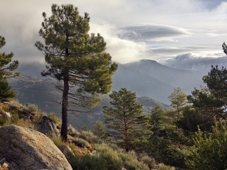 Obraz na płótnie Canvas Sierra del Arenal. Sierra de Gredos. Avila