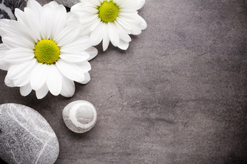 Obraz premium Wellness background.