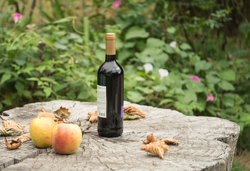 Obraz premium A bottle of wine and apples on an old tree stump.