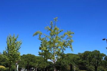 長居公園