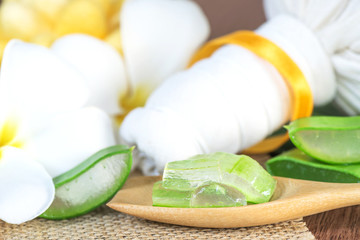 Aloe Vera for skin treatment and use in spa for skin care