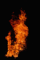 Struggle of campfire and dark night.