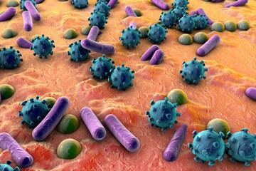 Bacteria and viruses on surface of skin, mucous membrane or intestine, model of MERS, HIV, flu, Escherichia coli, Salmonella, Klebsiella, Legionella, Mycobacterium tuberculosis, model of microbes