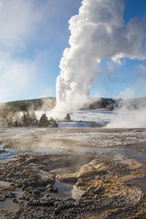 Fototapeta na wymiar old faithful eruption with other hot springs