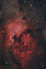 Nebulosa Nord America