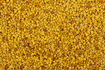 Bee pollen close up
