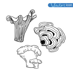  mushrooms set icons, vector illustration.