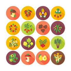 Set of flat design icons for fruits and vegetables.