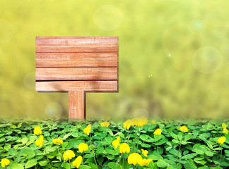 Wood sign on grass