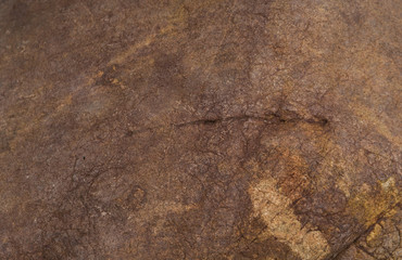 Stone surface background