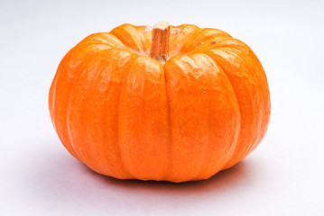 Mini-pumpkin on white background.
