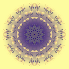 Flower Mandala with Yellow background. Ornamental round floral Pattern.