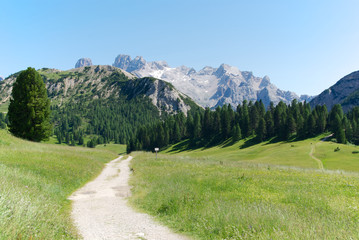 Path to the Alps