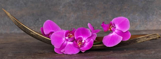 Foto op Plexiglas Orchideenblüten © Racamani