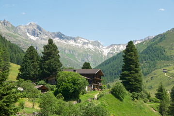 Fototapeta na wymiar Path to the Alps